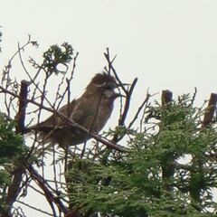 みどり市周辺の友人募集 − 群馬県