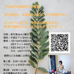 中原ヨガ教室 初心者向けの優しいクラスです