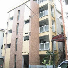 😊大家直接⭐️敷・礼・仲手０円・祝5万🌸リフォーム中🐶ペットOK...