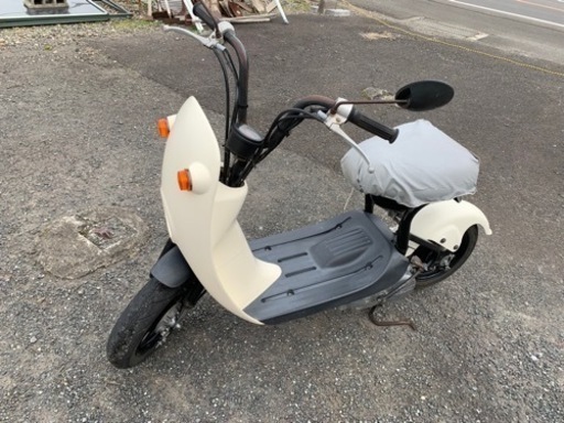 スズキ　チョイノリ