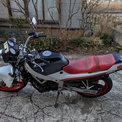 （再出品、今月中売れなければ終了）cbr250r mc17　旧車　高騰中　希少！の画像