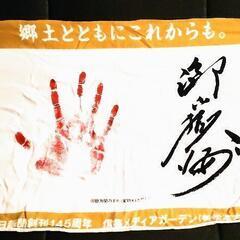 大相撲 御嶽海 サイン入り手ぬぐい