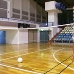 2月13日(日)ソフトバレーボール、ドッジビーをしませんか？【初...