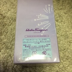 未使用 サルバトーレ フェラガモの画像