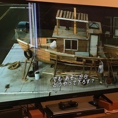 【液晶割れ】55インチPanasonicテレビ