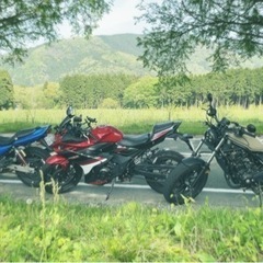 SUZUKI GSX250R