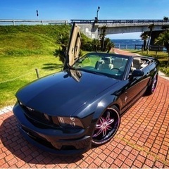 フォード マスタング コンバーチブル V6 ガルウィング トランクオーディオの画像