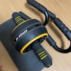 アブローラーとプッシュアップバーの上半身ムキムキセット💪✨