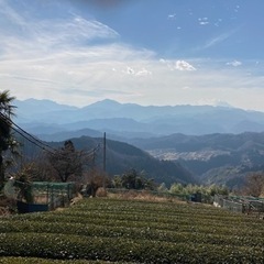 山友メル友募集！！