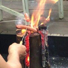 スエーデントーチの画像