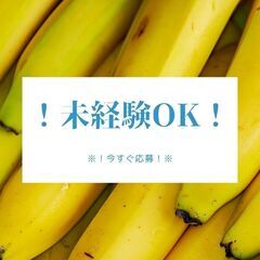 ＼急募 × 履歴書不要／シンプル製造作業！人気の土日祝休み◎残業...