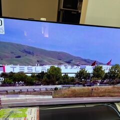 Panasonic 有機ELテレビ TH-55EZ950-日本育児 ベビーサークル  はらぺこあおむし ミュージカルキッズランドDX 8枚