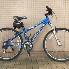 【引き取り限定】GIANT ROCK 4500 引き取り限定】GIANT ROCK 4500