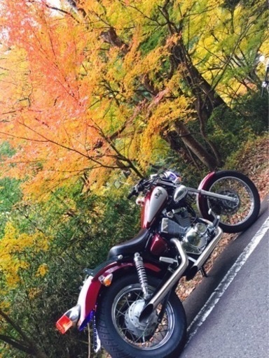 ヤマハ　XV250VIRAGO