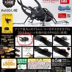 いきもの大図鑑　コーカサスオオカブト