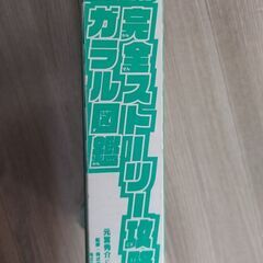 ポケモン攻略ガイドの画像