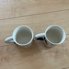 犬&猫のカップ！の画像