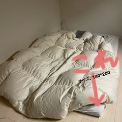 ベット