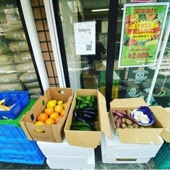 ⭐︎野菜詰め放題・フリマ開催⭐︎