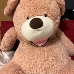 ぬいぐるみ　テディベア　160センチ