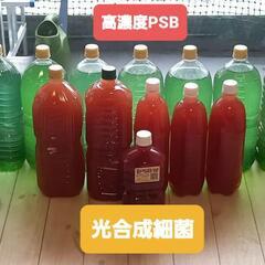 超濃厚PSB 500ml+エビオス錠剤10粒