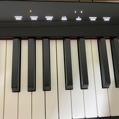 CASIO Privia PX-S1000BKの画像