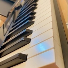 CASIO Privia PX-S1000BKの画像