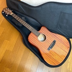 ELVIS エルビス アコースティックギターElite-2