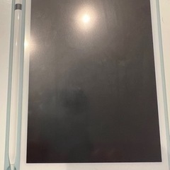 iPad mini