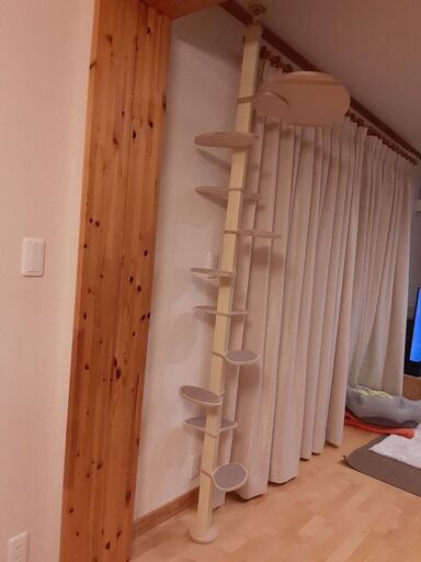 キャットタワー