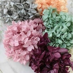 ぽろぽろ花材プリザーブドメイン1000円分限定1〜2名