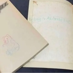 Dragonball / Trial by Fire 2冊セットの画像