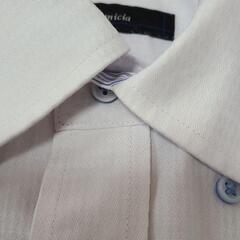 Dress Camicia長袖カッターシャツまとめ売りの画像