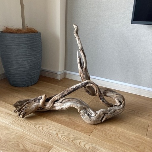 流木
