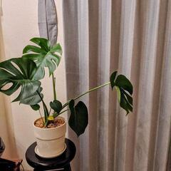 [交換希望]　回転式バースツール