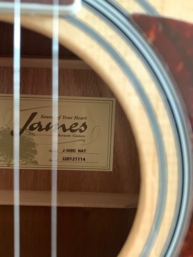 James J-300D アコースティックギター 