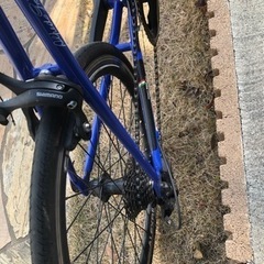 ジオス　パントの画像