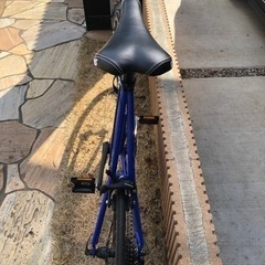 ジオス　パントの画像