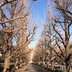 🌲神宮外苑🌲ランチ会🍱 2022/2/8(火)11:30〜