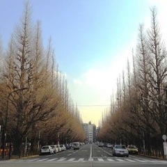 🌲神宮外苑🌲ランチ会🍱 2022/2/8(火)11:30〜 - メンバー募集