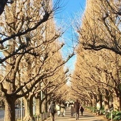 🌲神宮外苑🌲ランチ会🍱 2022/2/8(火)11:30〜 − 東京都