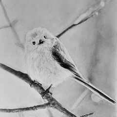 鉛筆模写・鉛筆画教室『心絵』初心者大歓迎、鉛筆画を趣味にしてみませんか？の画像