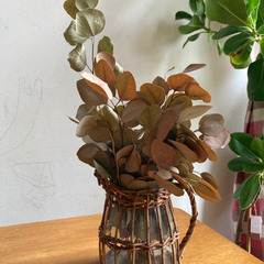 ドライフラワーポポラスと花瓶セット
