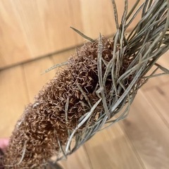 ドライフラワー　スワッグの画像