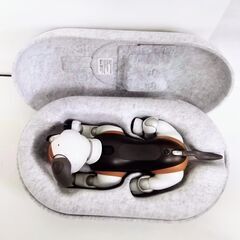 レア【美品】SONY ERS-1000 aibo チョコエディション エンタテイメント ロボット 限定カラー アイボーン サイコロ ピンクボール アクセサリーセット付の画像
