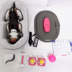 レア【美品】SONY ERS-1000 aibo チョコエディション エンタテイメント ロボット 限定カラー アイボーン サイコロ ピンクボール アクセサリーセット付の画像