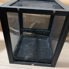 カメレオンのかごの画像