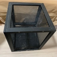 カメレオンのかご