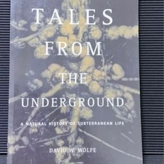 お譲り先決定　Tales From The Undergroun...