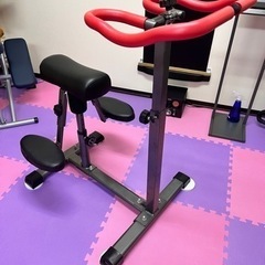 【値下げしました&近郊配送します】骨盤ストレッチトレーナー